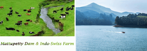 Mattupetty Dam And Mattupetty Indo-Swiss Farm